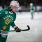 Hammarby föll mot Edsbyn i premiären