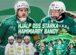 Hjälp oss stärka Hammarby Bandy