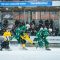 Inför Gripen Trollhättan BK – Hammarby IF