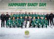TRE RAKA SÄSONGER I ELITSERIEN – HAMMARBY VILL TA NÄSTA STEG